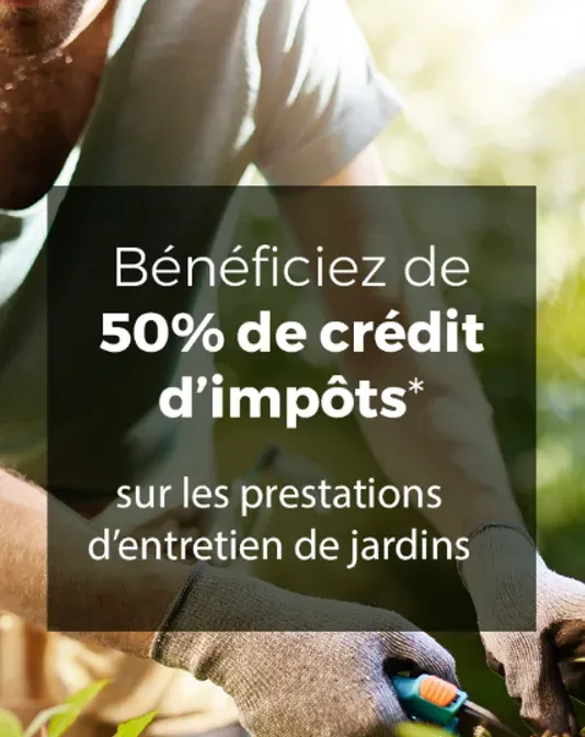 Jardinage avec crédit d'impôt immédiat à Lannemezan, Lannemezan, Maison Services et Compagnie