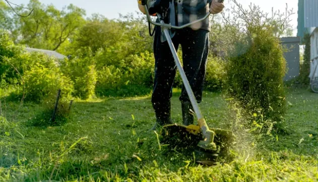 Débroussaillage d'un roncier à Lannemzean