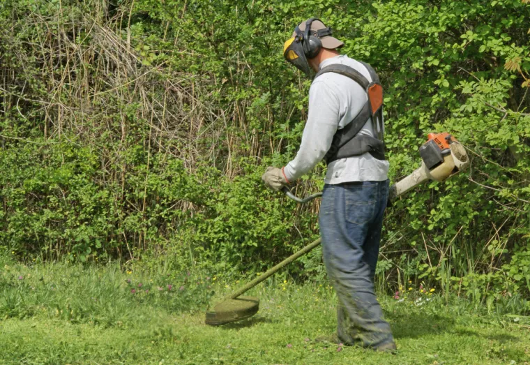 Débroussaillage de hautes herbes à Capvern