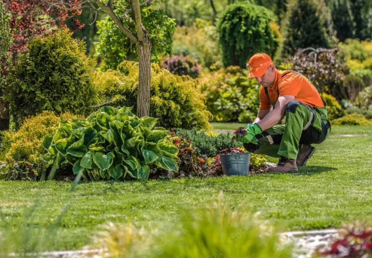 Jardinier à Tournay