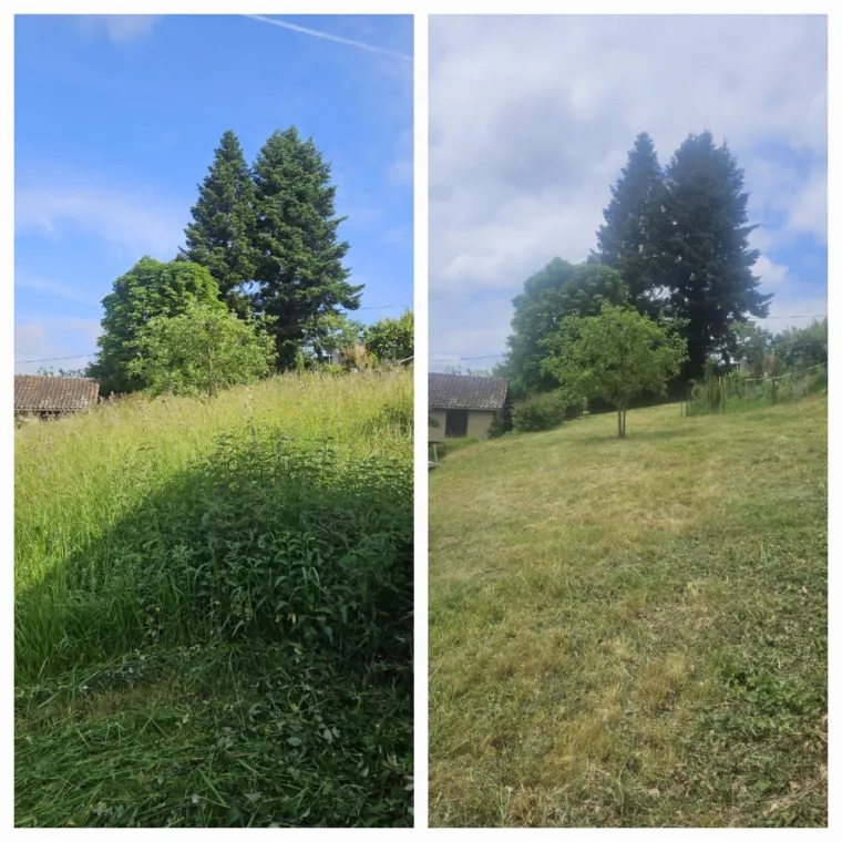 Débroussaillage de hautes herbes à Tournay