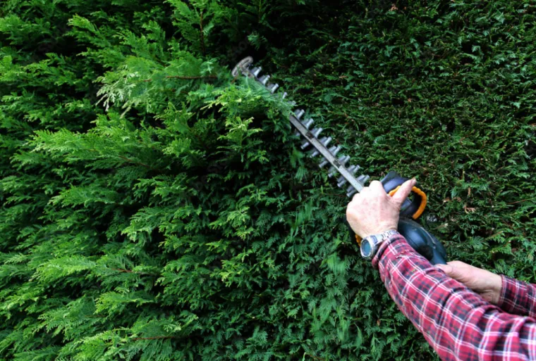 Taille de haie à Capvern avec jardinier professionnel à Capvern