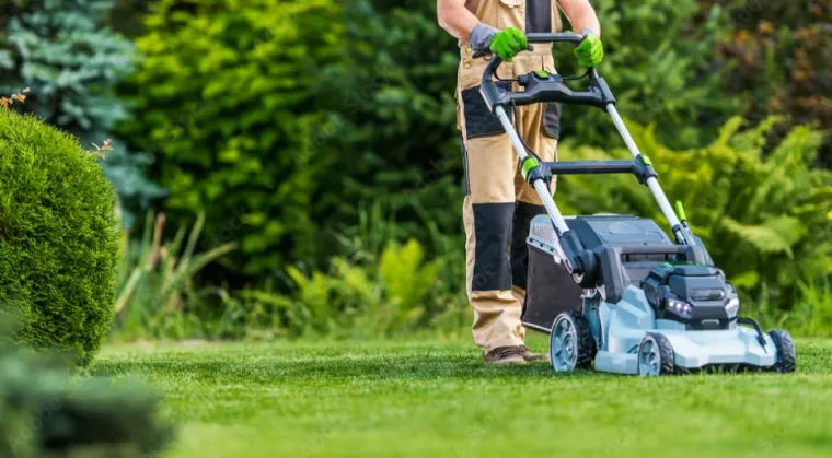 Entretien de jardin à Lannemezan : ne payez que 50% grâce au crédit d'impôt immédiat, Lannemezan, Maison Services et Compagnie