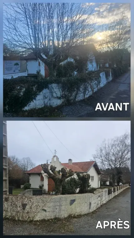 Confiez l'entretien de votre jardin à Lannemezan à Maisons Services et Compagnie, Lannemezan, Maison Services et Compagnie
