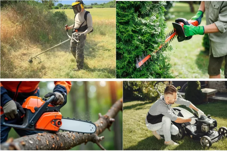 Maison Services et Compagnie lance son activité jardinage pro pour l'entretien des espaces verts, Lannemezan, Maison Services et Compagnie