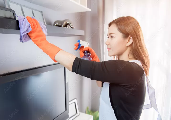 Ménage à domicile : gagner du temps, vivre mieux avec Maison Services et Compagnie, Lannemezan, Maison Services et Compagnie