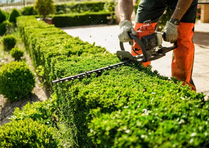 Petit jardinage, un extérieur soigné sans effort, Lannemezan, Maison Services et Compagnie
