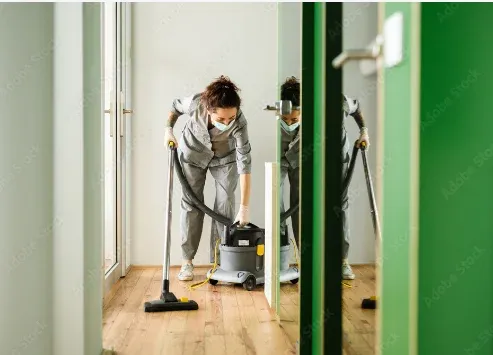 Ménage à domicile, une solution fiable pour un intérieur propre toute l'année, Lannemezan, Maison Services et Compagnie