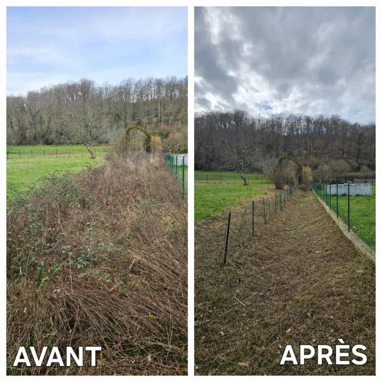 Pourquoi faire appel à un jardinier en service à la personne à Lannemezan ?, Lannemezan, Maison Services et Compagnie