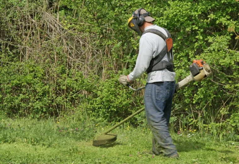 Pourquoi faire confiance à Maison Services et Compagnie pour le débroussaillage à Lannemezan et les communes avoisinantes ?, Lannemezan, Maison Services et Compagnie