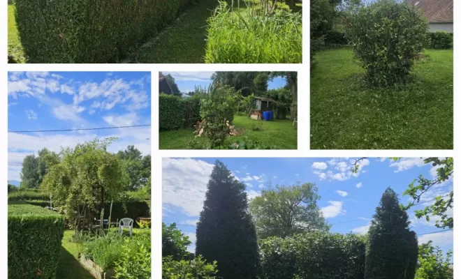 Entretien de parc et jardins par des jardiniers professionnels et leurs matériels