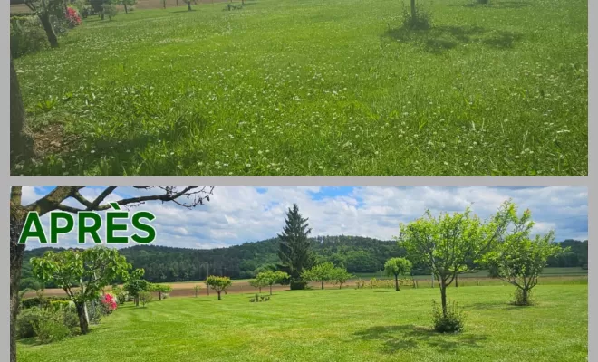 Service de jardinage à domicile avec Maison Services et Compagnie, Lannemezan, Maison Services et Compagnie