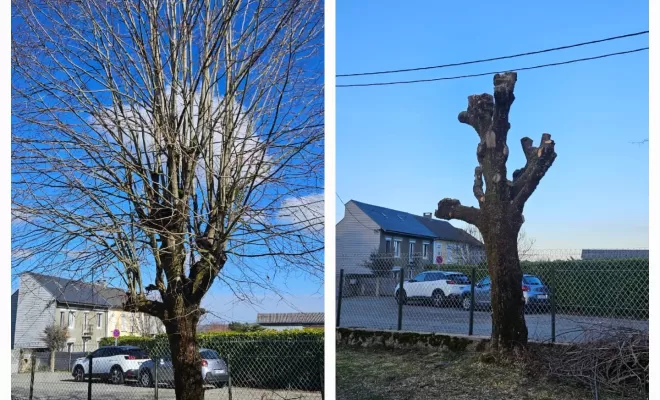 Qui contacter pour un entretien de jardin à Lannemezan avec Maison Services et Compagnie, Lannemezan, Maison Services et Compagnie