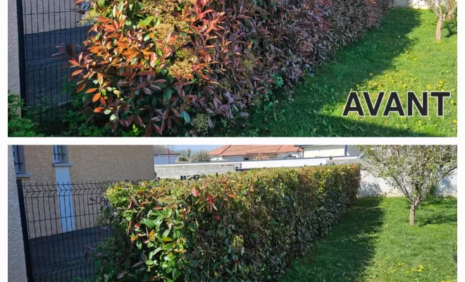 Est-ce que les jardiniers de Maison Services et Compagnie s'occupent aussi de la taille de haies et d'arbustes ?, Lannemezan, Maison Services et Compagnie