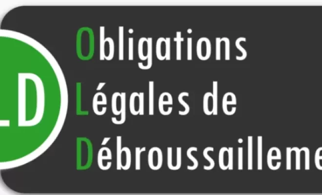 Débroussaillage d'un terrain à Lannemezan, Lannemezan, Maison Services et Compagnie