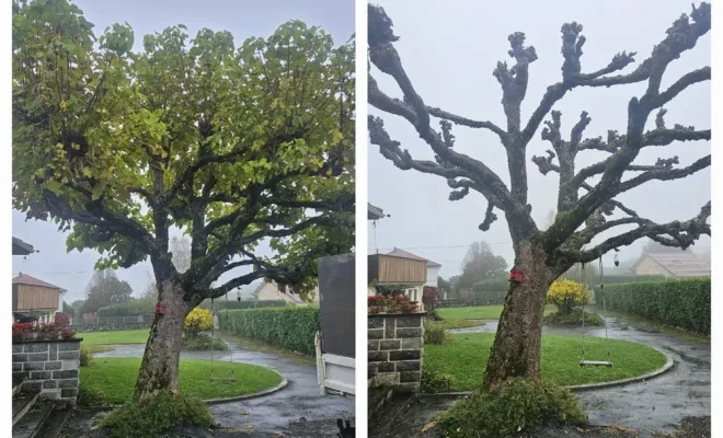 Travaux de jardinage à Lannemezan et les environs, Lannemezan, Maison Services et Compagnie
