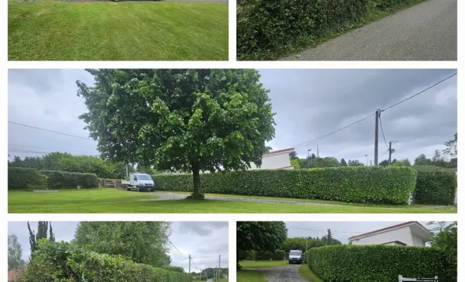 Devis gratuit pour l'entretien de jardin à domicile à Lannemezan avec crédit d'impôt immédiat, Lannemezan, Maison Services et Compagnie