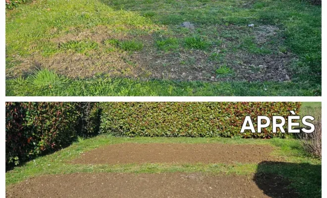 crédit d'impôt immédiat pour des prestations de jardinage à domicile à Lannemezan, Lannemezan, Maison Services et Compagnie