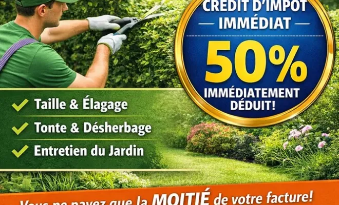 Comment trouver une entreprise sérieuse de service à la personne à Lannemezan, Lannemezan, Maison Services et Compagnie